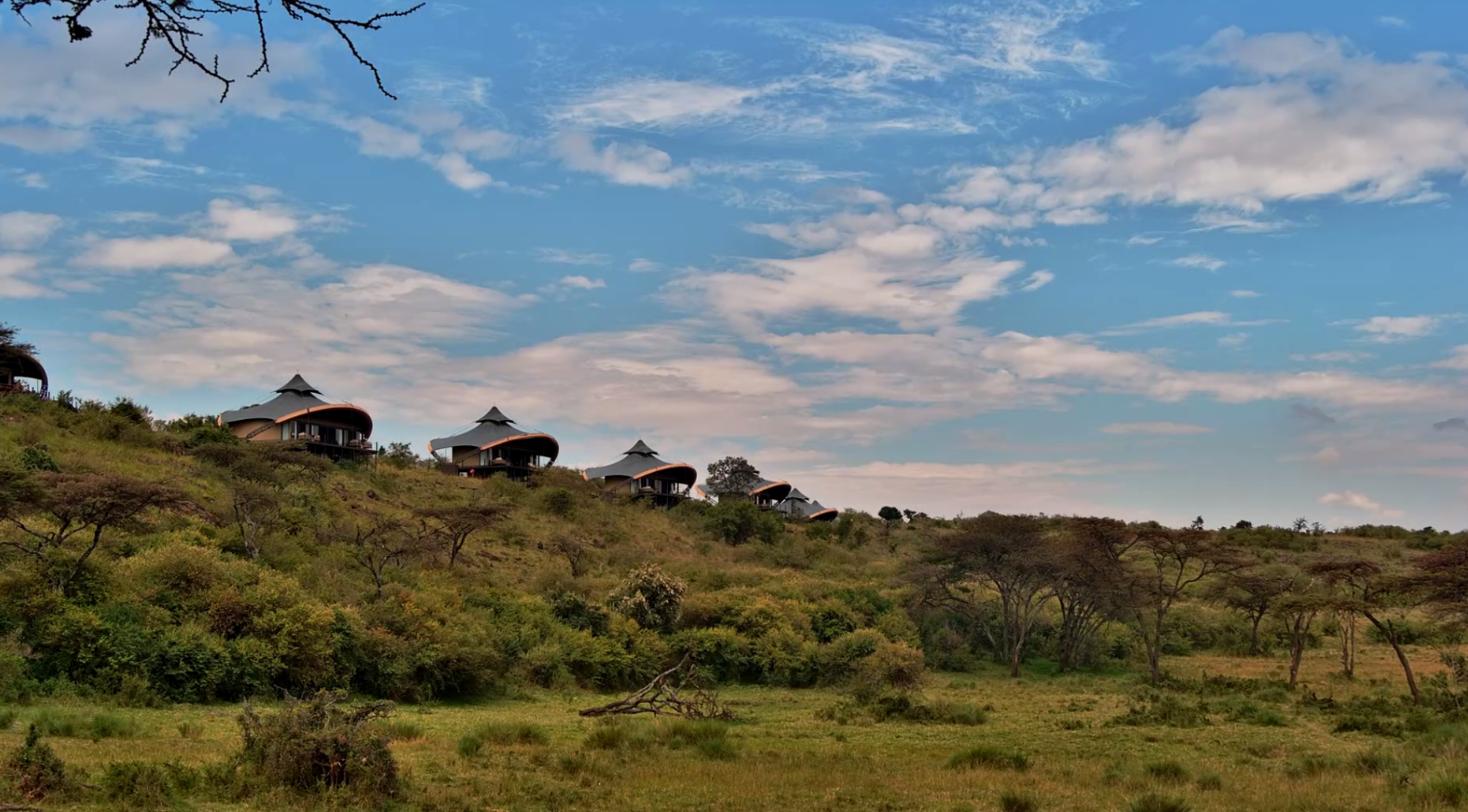 New Camera Alert: Mahali Mazuri - Africam