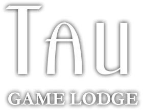 Tau Logo (1)