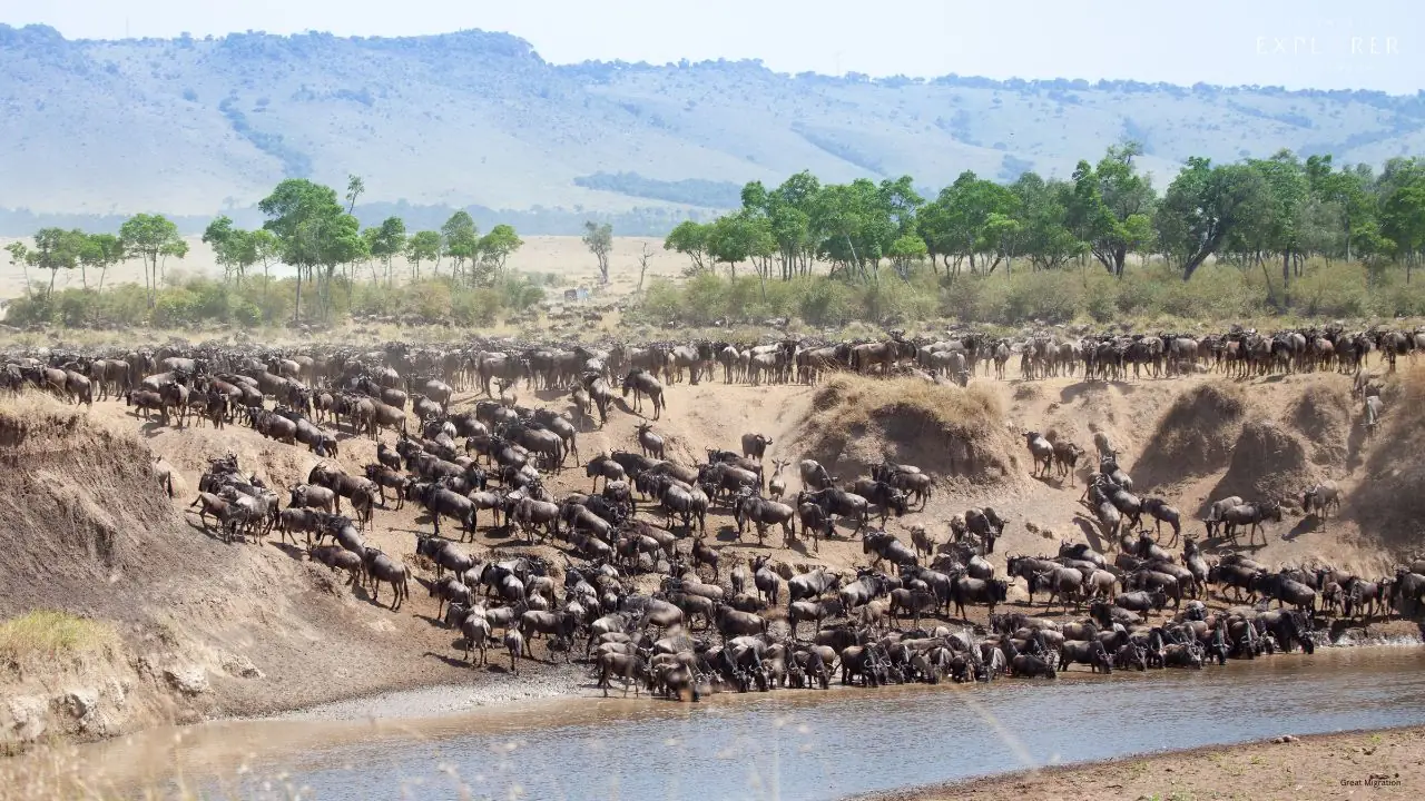Serengeti Explorer Camera