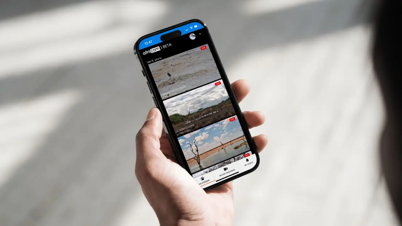 How to Download Africam’s Alerts App: iOS