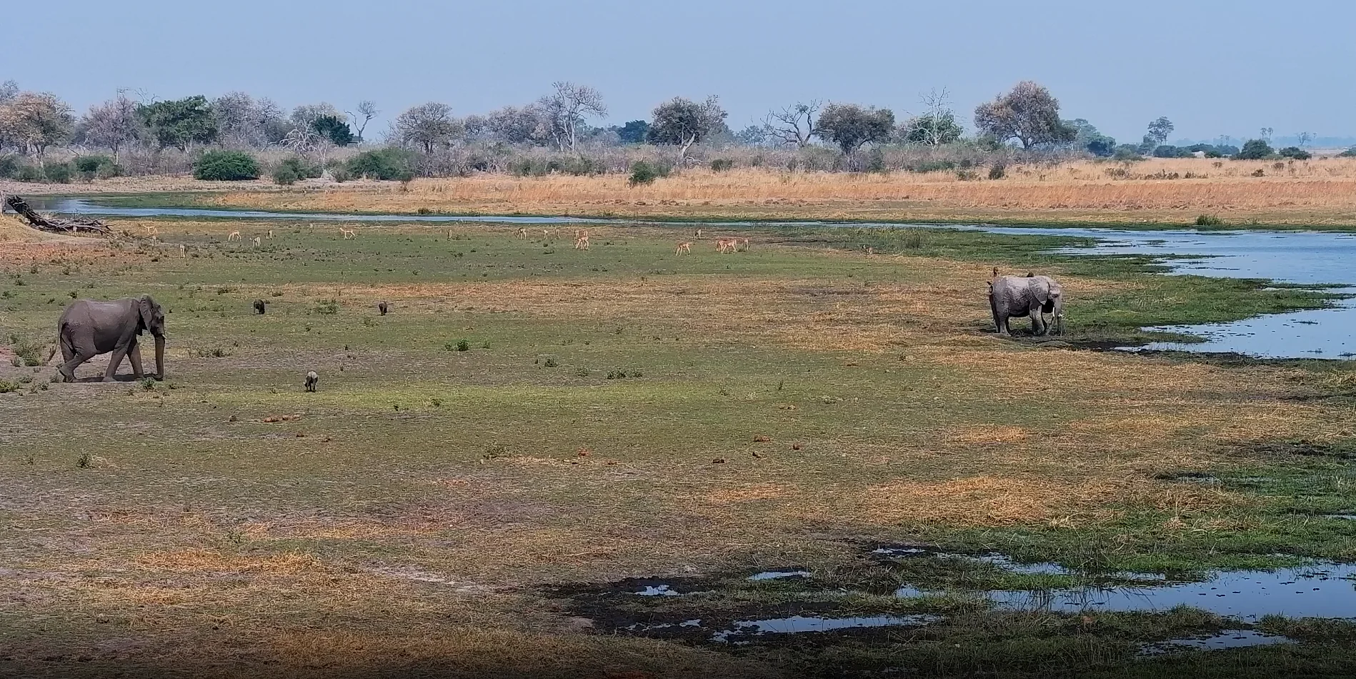New Cameras Alert: Twin Pan and Ox Bow