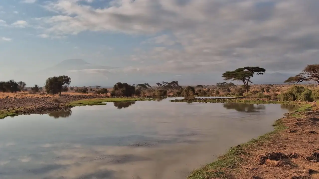 New Camera Alert: Tortilis Camp