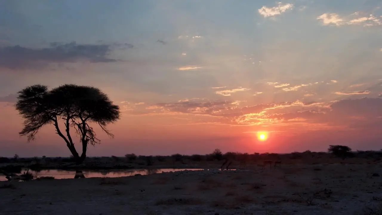 When We Step In, and When We Let Nature Be