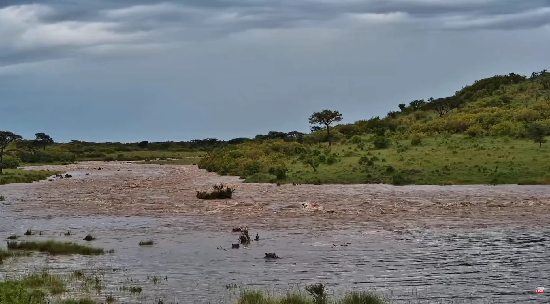 Water Watch with Africam