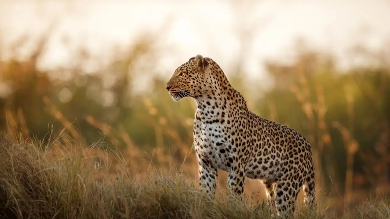 Beyond the Camera at Kwa Maritane